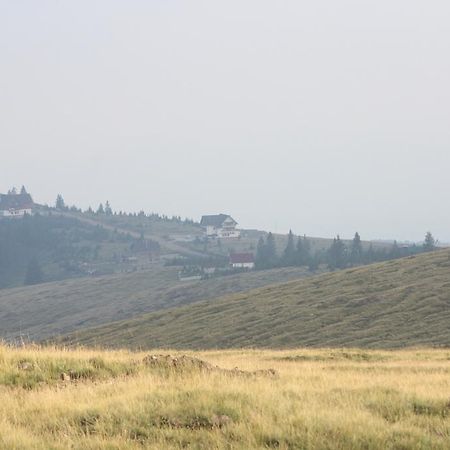 Pensiunea Muntele Alb Horezu Exterior foto